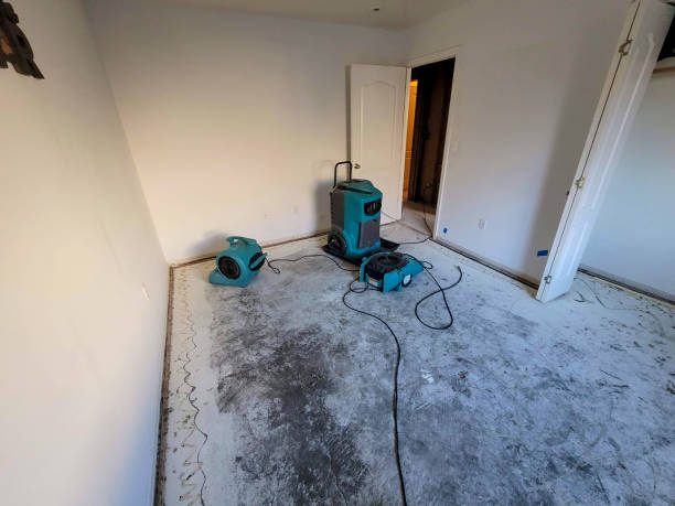 Best Ceiling water damage repair  in Slater, IA