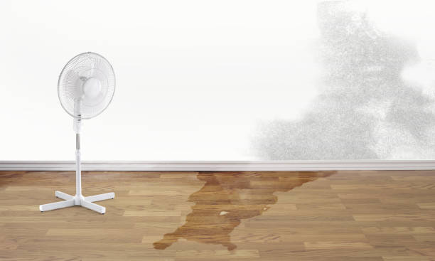 Best Water damage restoration near me  in Slater, IA