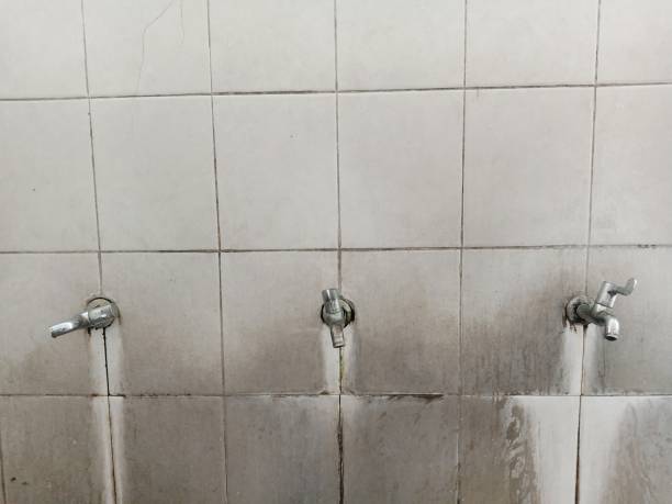 Best Flood restoration services  in Slater, IA